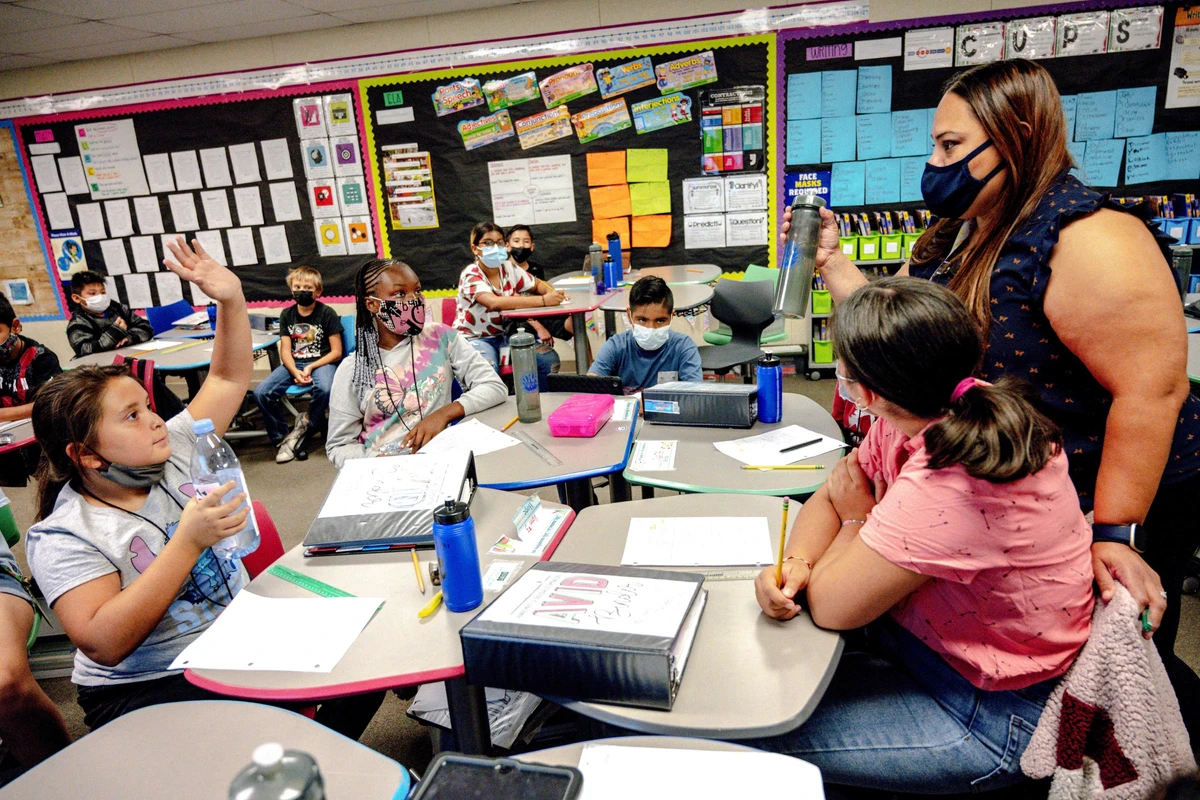 Teachers are needed for mathematics , social science , Economics and Foundation phase